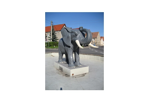 Elefant Kühren