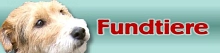 Fundtiere © Fotolia