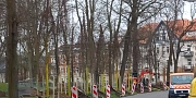 Neue Bäume in der Alten Nischwitzer Straße