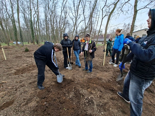 Pflanzaktion Stadtpark 2026&nbsp;&copy;&nbsp;Stadt Wurzen
