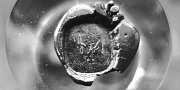 Siegel Siegelabdruck Ringelnatz bearb.JPG Siegel Siegelabdruck Ringelnatz bearb.JPG