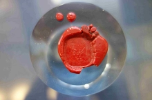 Siegelabdruck Ringelnatz Objektfoto.JPG&nbsp;&copy;&nbsp;KHM Wurzen