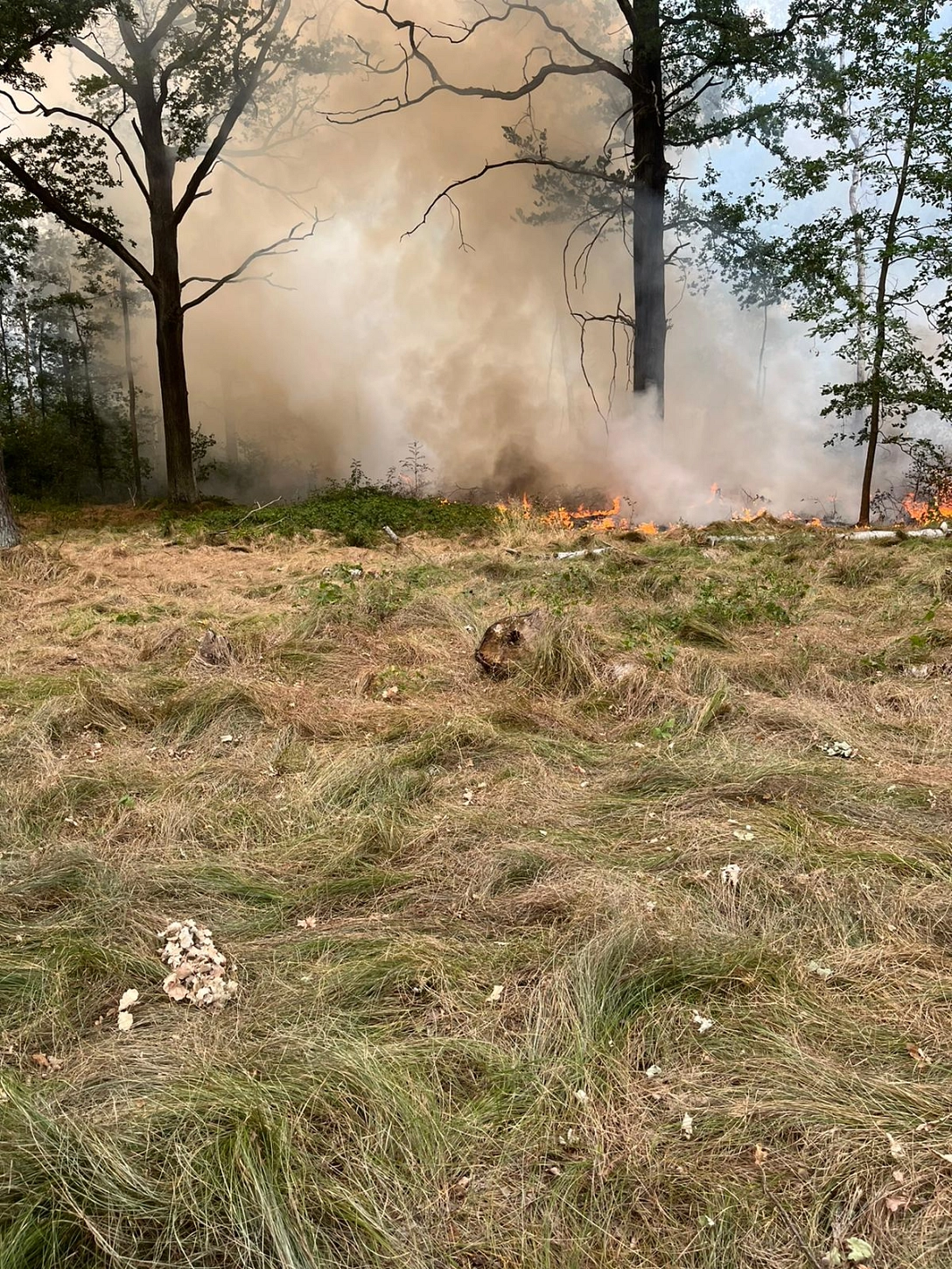 Waldbrand © FF Kühren