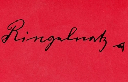 ringelreihe_web.jpg