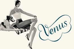 Venus_web-Beitragsbild.png